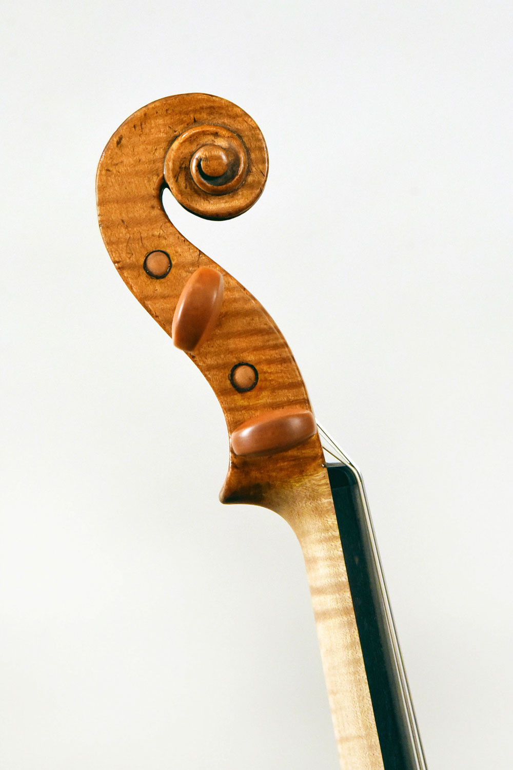 Violon Louis Moitessier
